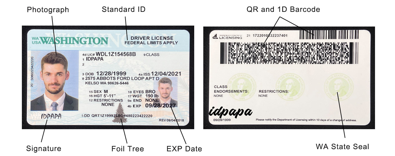 Washington Fake ID