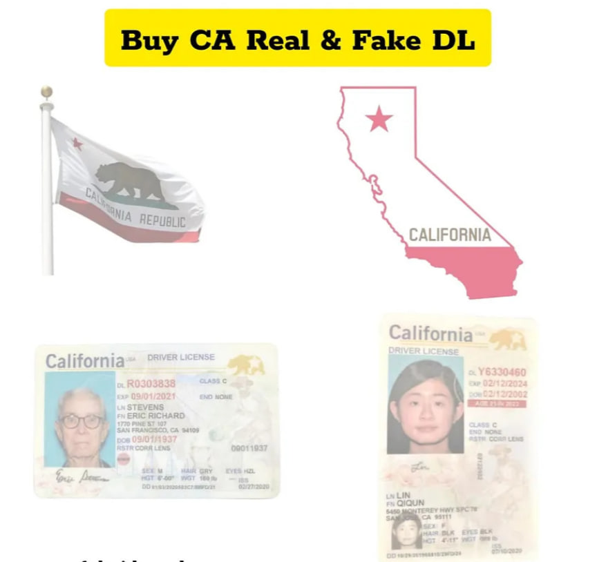 fake california driver license